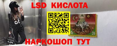 сатива Кинель