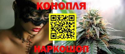 сатива Кинель