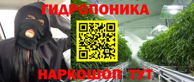 синтетический гашиш Кингисепп