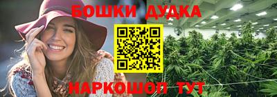 сатива Кинель