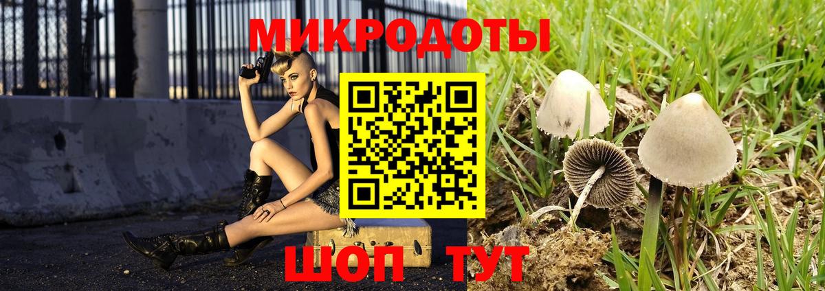 Галлюциногенные грибы MAGIC MUSHROOMS Бузулук